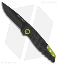 Gerber Guardian D2 Fixed Blade Knife (2.5" Black)